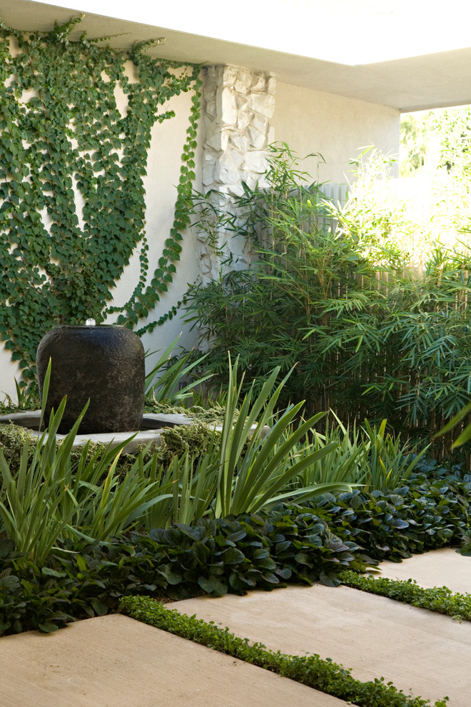 Inspiration for a contemporary back patio with a water feature, concrete slabs and a pergola.