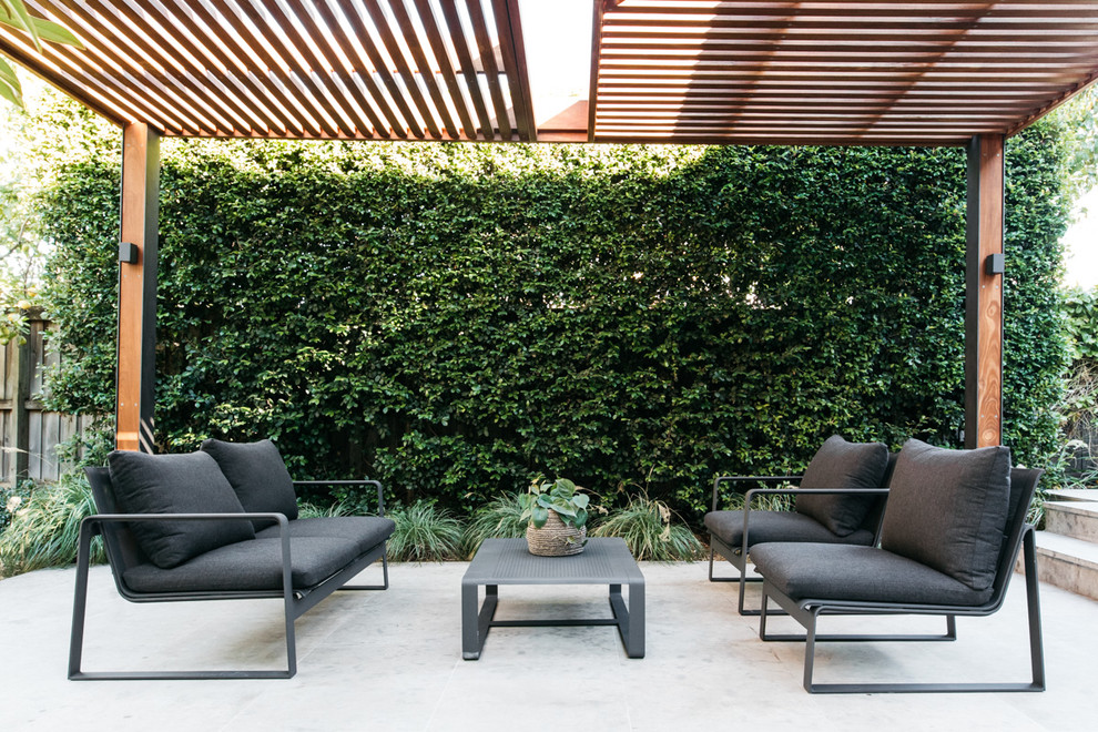 Example of a large trendy backyard patio design in Sydney with a pergola