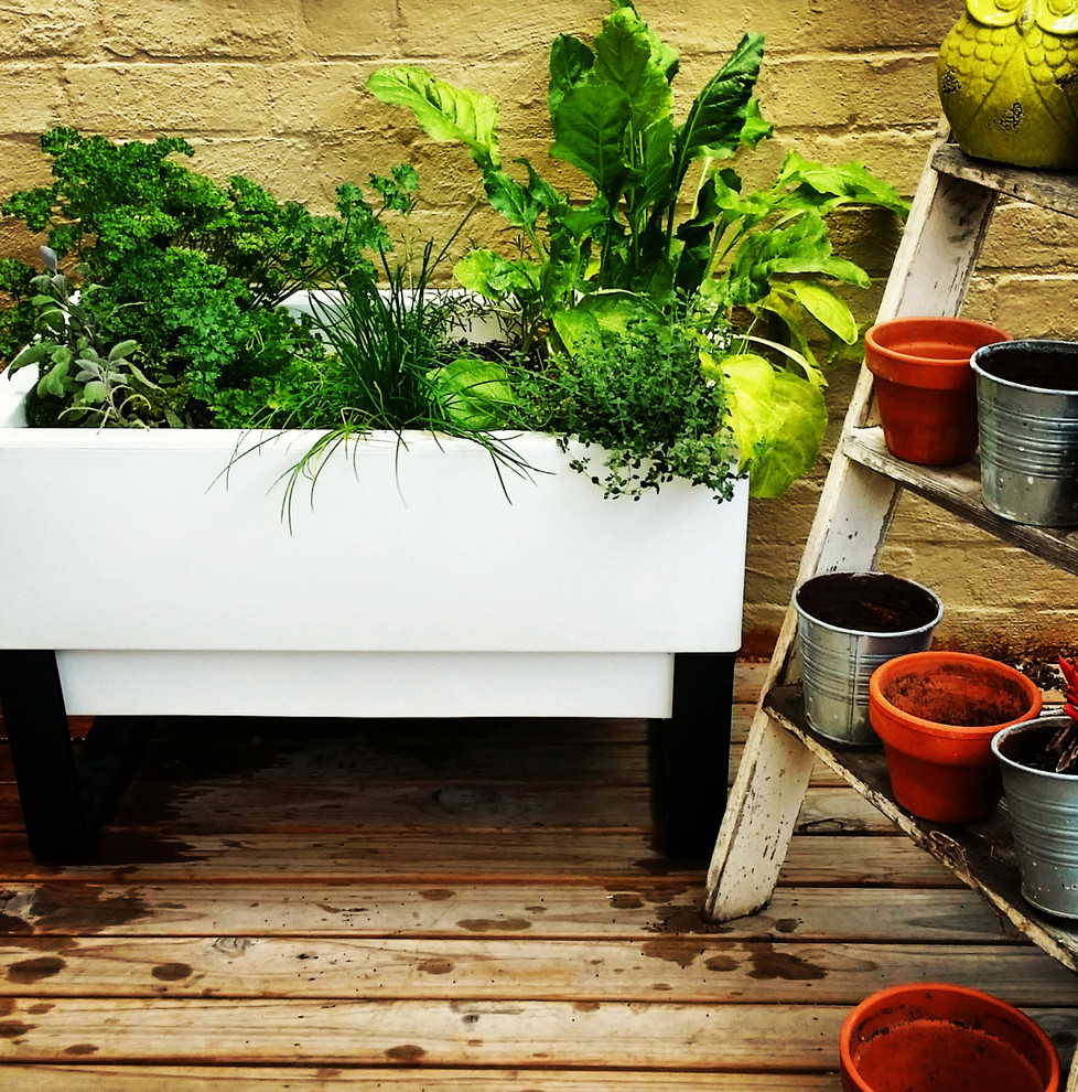 Идея дизайна: двор среднего размера на внутреннем дворе в стиле шебби-шик с растениями в контейнерах, настилом и навесом