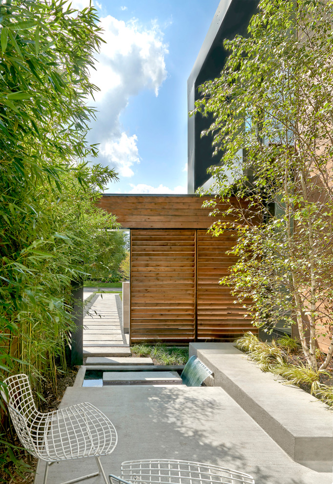 Idées déco pour une petite terrasse contemporaine avec un point d'eau, une cour, des pavés en béton et aucune couverture.