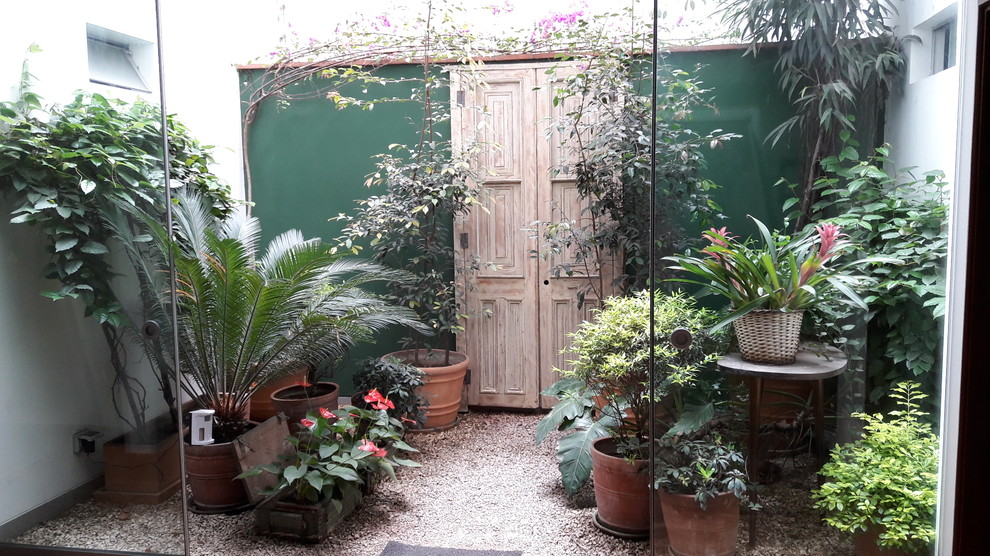 Пример оригинального дизайна: маленький двор в стиле фьюжн с растениями в контейнерах и покрытием из гравия для на участке и в саду