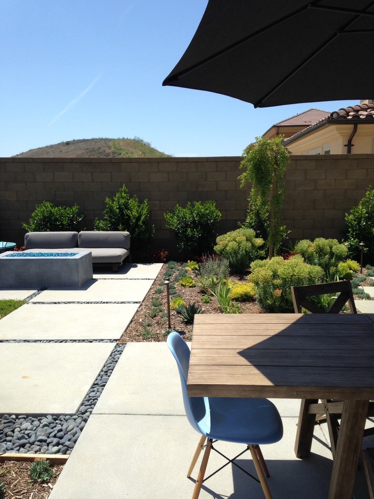 Exemple d'une terrasse arrière tendance de taille moyenne avec un point d'eau, des pavés en béton et aucune couverture.