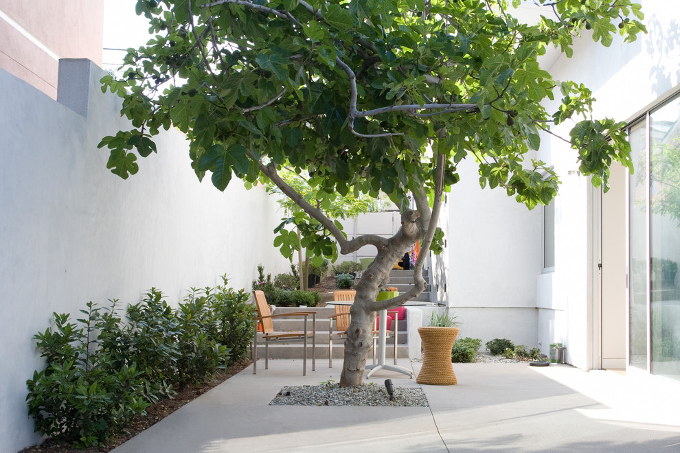 Foto di un patio o portico contemporaneo con lastre di cemento, nessuna copertura e scale