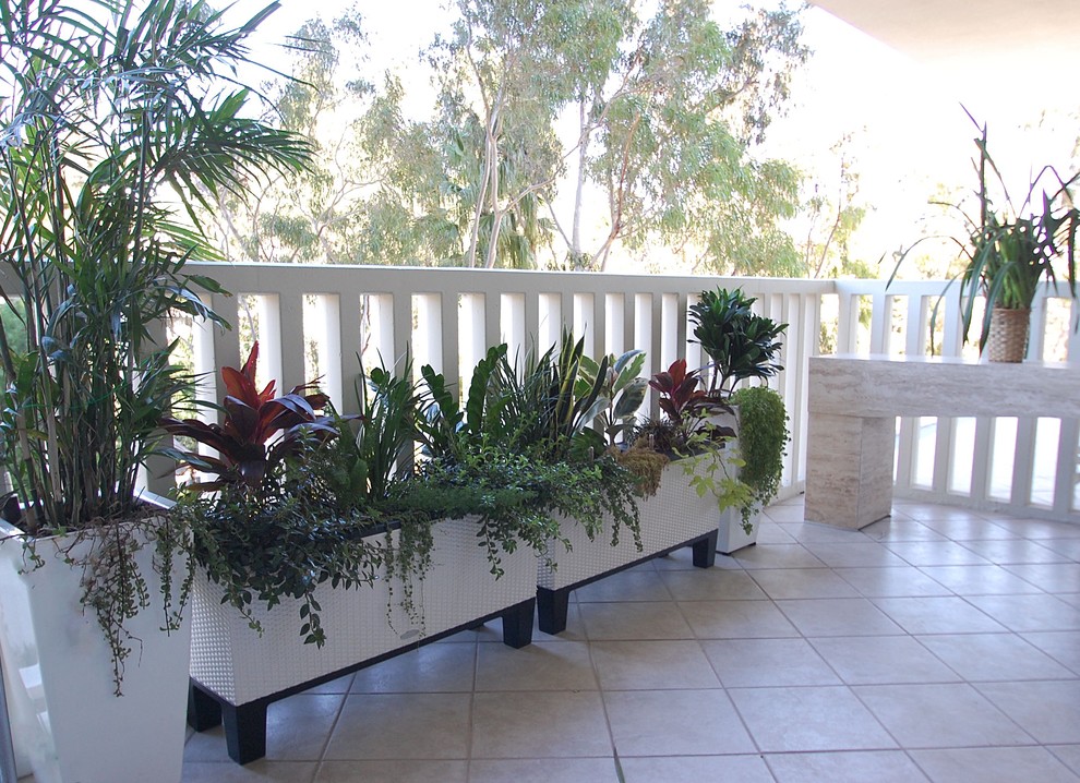 На фото: двор среднего размера в стиле модернизм с растениями в контейнерах, покрытием из плитки и навесом