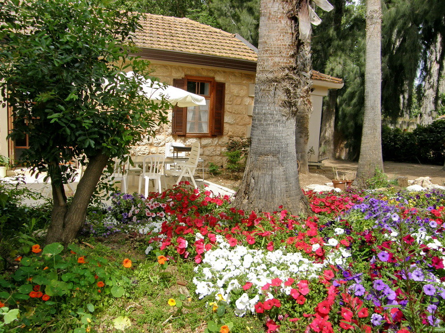 Idée de décoration pour une terrasse méditerranéenne.