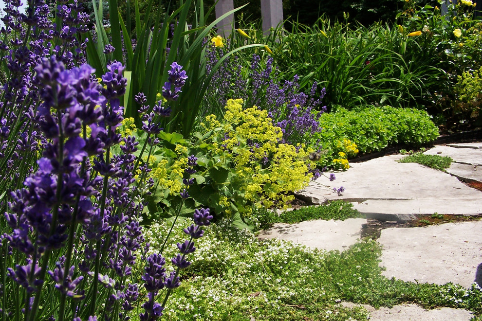 Lavender, Thyme & Lady's Mantel Traditional Patio Atlanta by