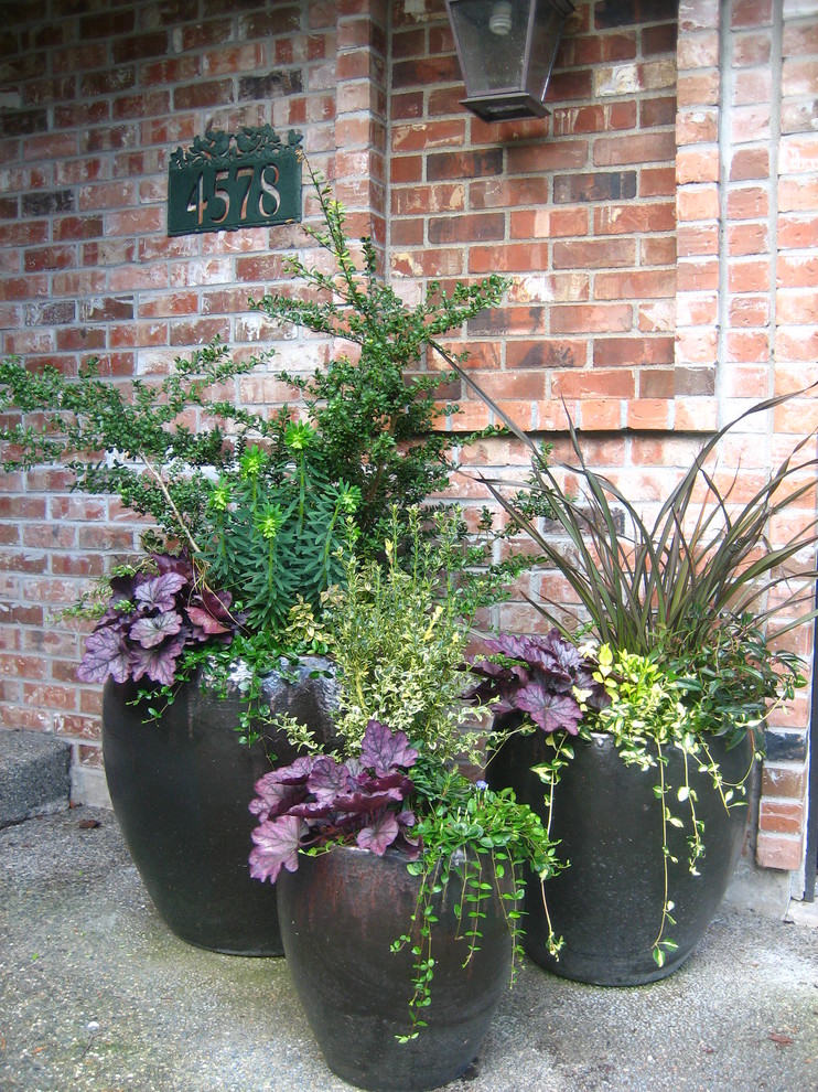 Esempio di un patio o portico classico di medie dimensioni e davanti casa con un giardino in vaso, lastre di cemento e nessuna copertura