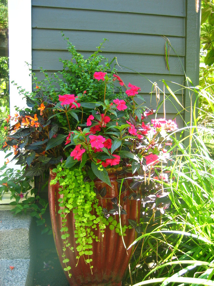 Foto di un patio o portico classico di medie dimensioni e davanti casa con un giardino in vaso, lastre di cemento e nessuna copertura