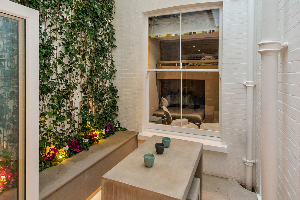 Kleiner Moderner Patio im Innenhof mit Pflanzwand und Betonboden in London