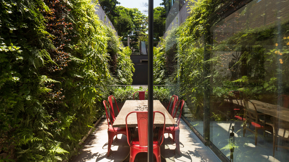 Modelo de patio minimalista pequeño en patio trasero con jardín vertical y suelo de baldosas