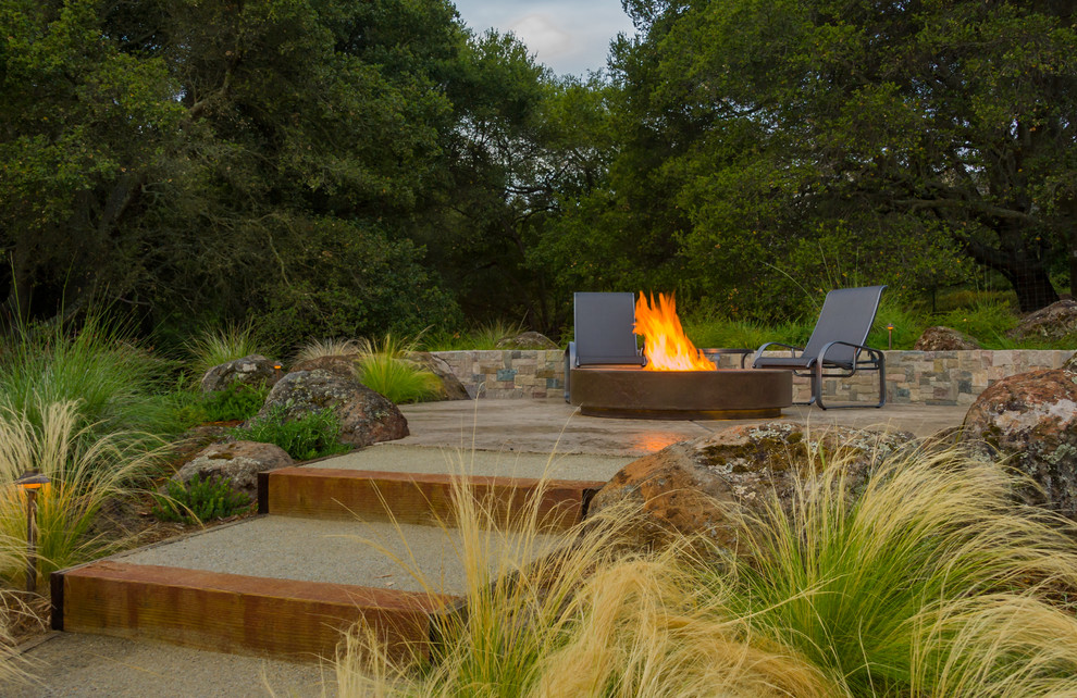 Patio - contemporary patio idea in San Francisco with a fire pit