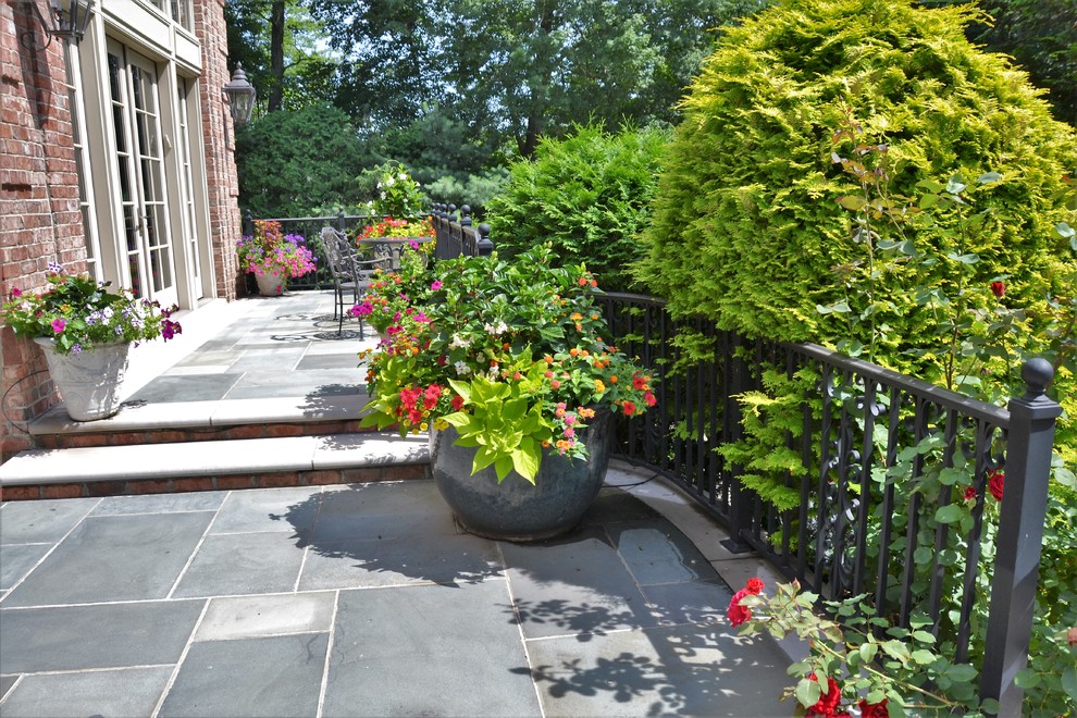 Immagine di un piccolo patio o portico eclettico dietro casa con un giardino in vaso