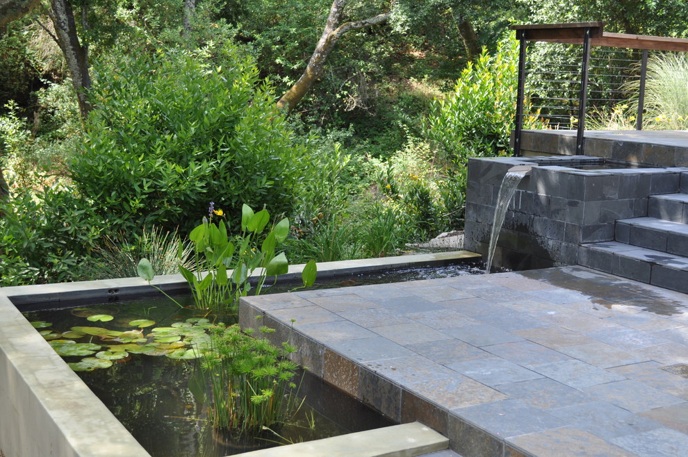 Minimalist patio fountain photo in San Francisco