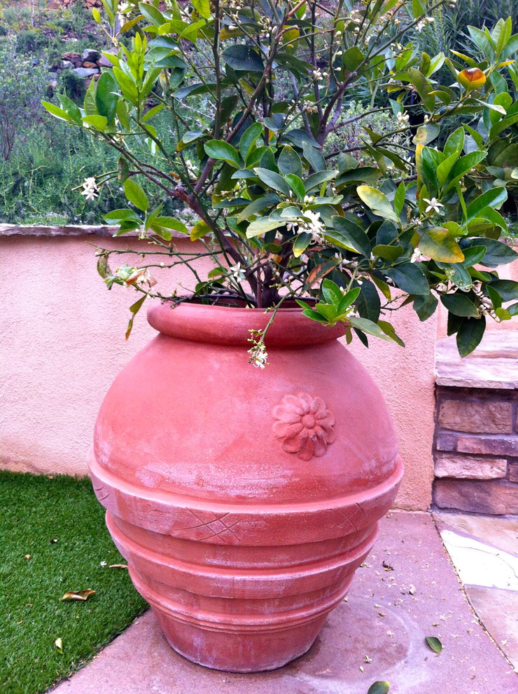 Maney Residence - Mediterranean - Patio - San Diego - by SP Gardens