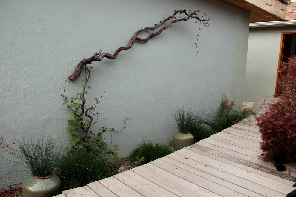Mittelgroßer, Unbedeckter Mediterraner Patio hinter dem Haus mit Pflanzwand und Dielen in San Luis Obispo