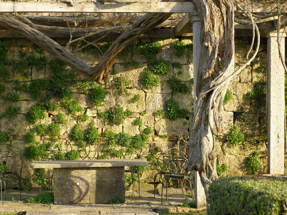 Réalisation d'un mur végétal de terrasse méditerranéen avec une pergola.