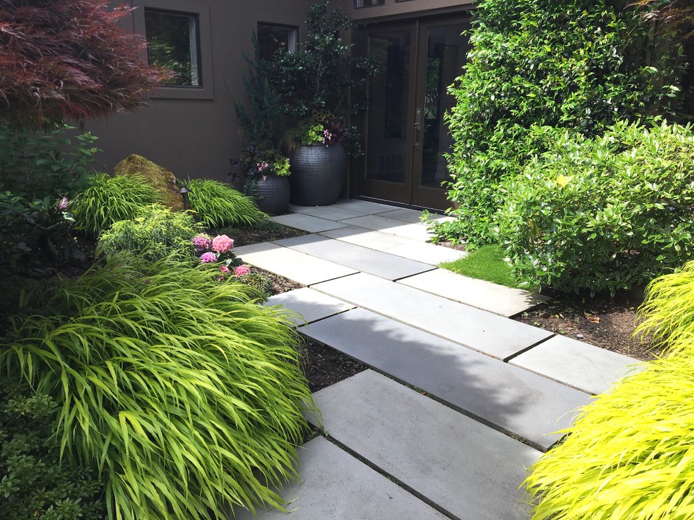 Large contemporary courtyard patio in Seattle with a potted garden, concrete paving and no cover.