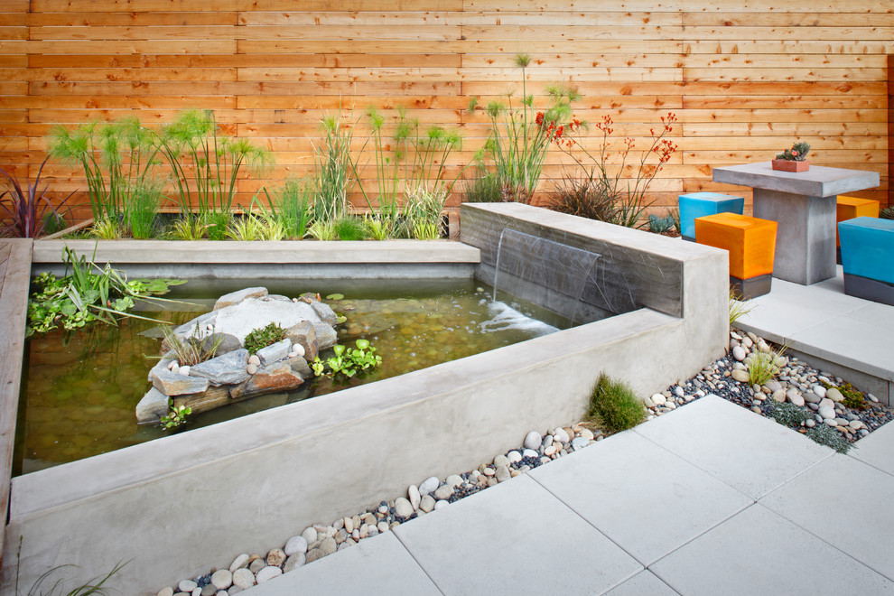 Cette image montre une terrasse design avec un point d'eau.