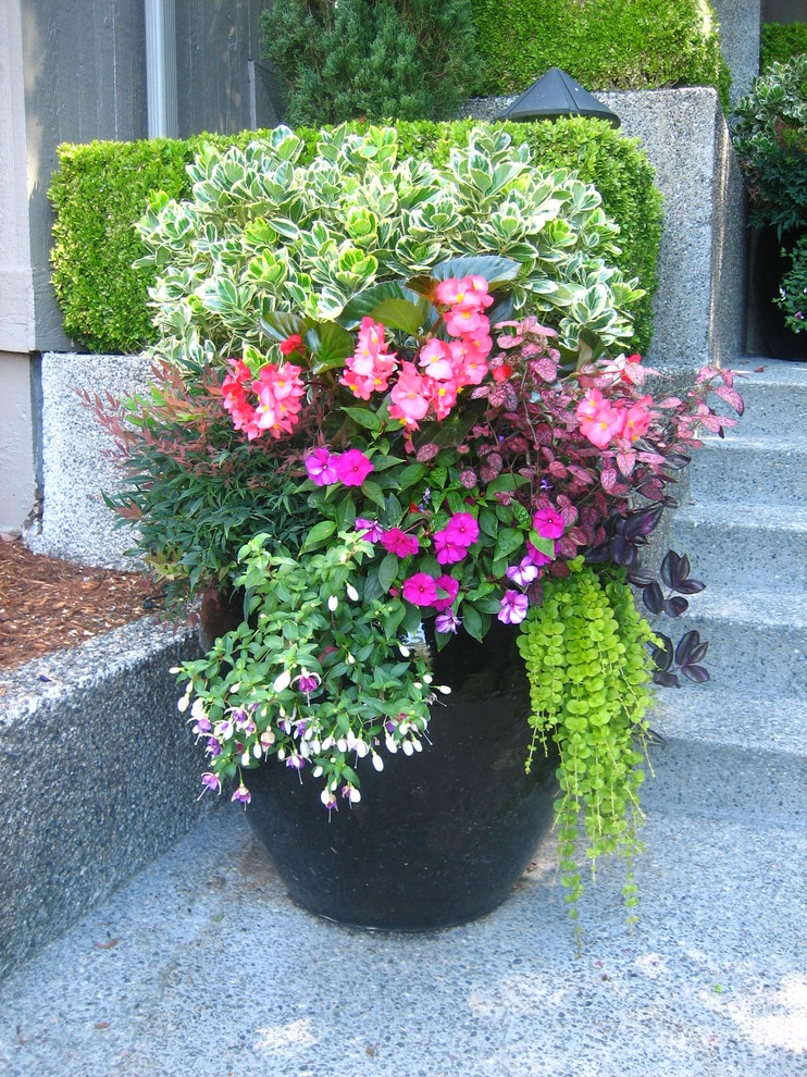 Esempio di un giardino minimal di medie dimensioni e davanti casa con un giardino in vaso