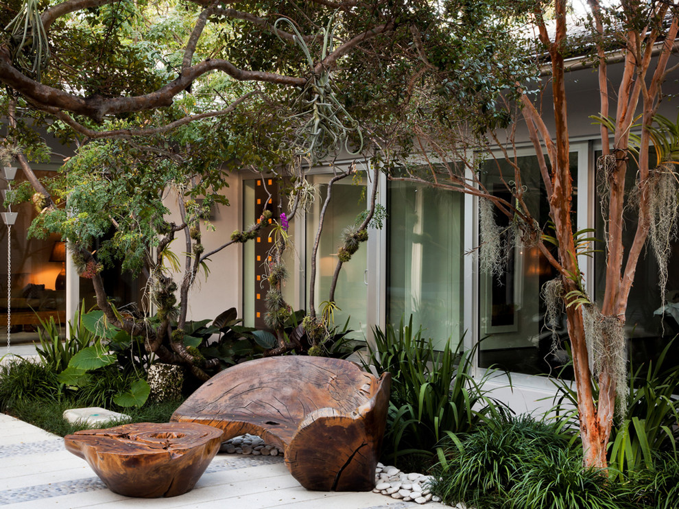 Miami Beach Garden Tropical Patio Miami by Raymond Jungles, Inc