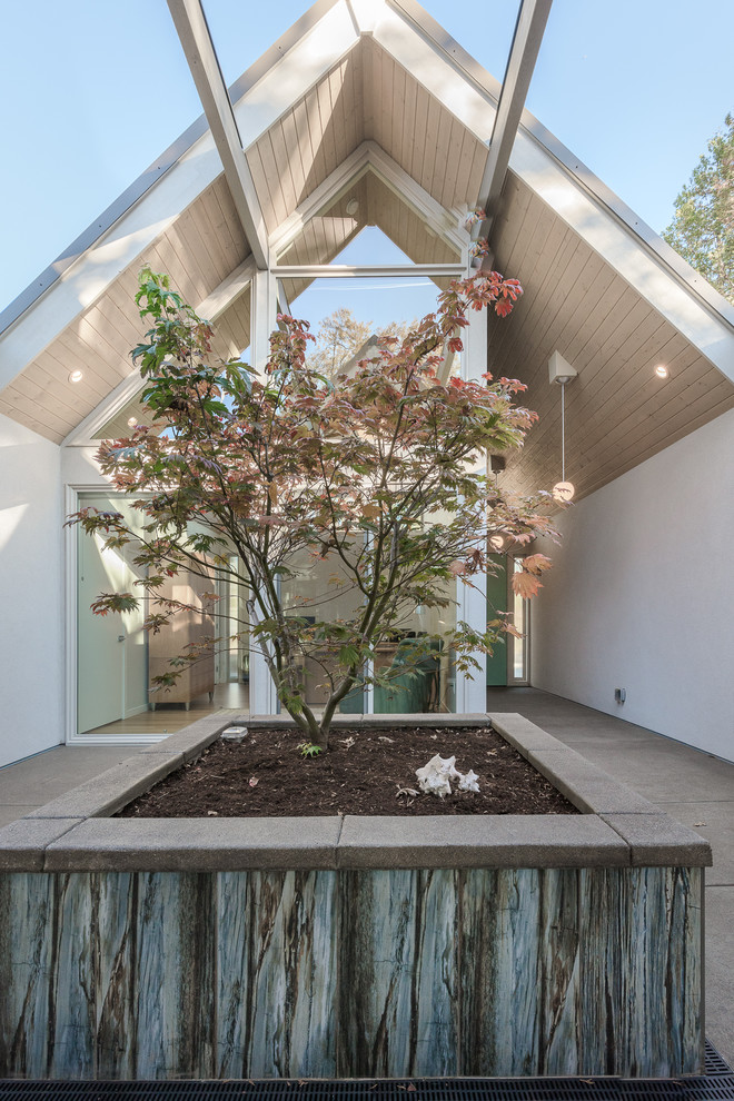 Mittelgroßer, Unbedeckter Retro Patio im Innenhof mit Kübelpflanzen und Betonplatten in Portland
