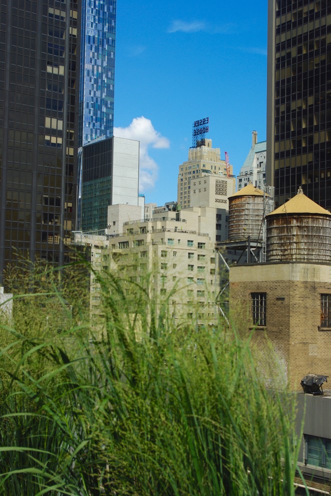 Kleiner, Gefliester, Unbedeckter Moderner Patio mit Kübelpflanzen in New York