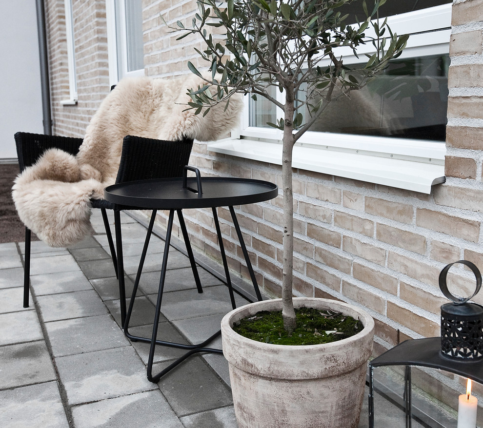 Идея дизайна: двор среднего размера на заднем дворе в скандинавском стиле с покрытием из бетонных плит