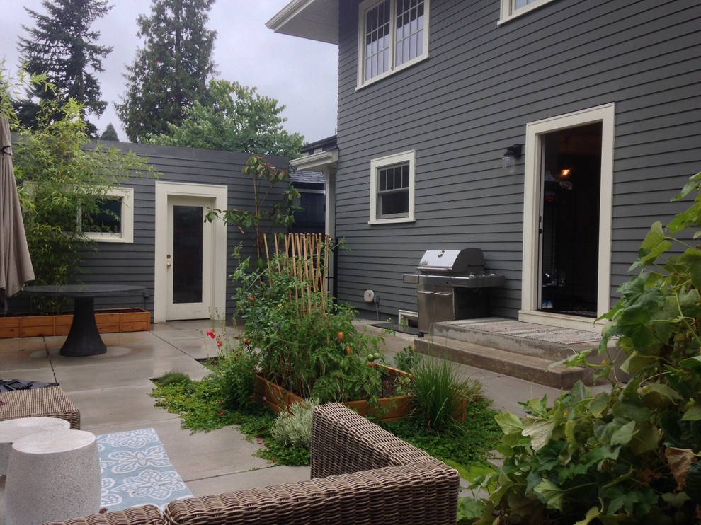 Idee per un piccolo patio o portico minimalista dietro casa con un giardino in vaso, lastre di cemento e nessuna copertura