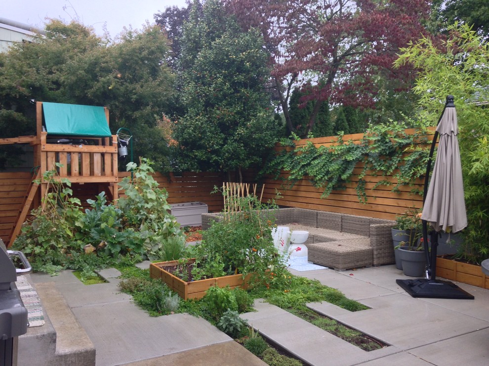 Идея дизайна: маленький огород во дворе на заднем дворе в стиле модернизм с покрытием из бетонных плит без защиты от солнца для на участке и в саду