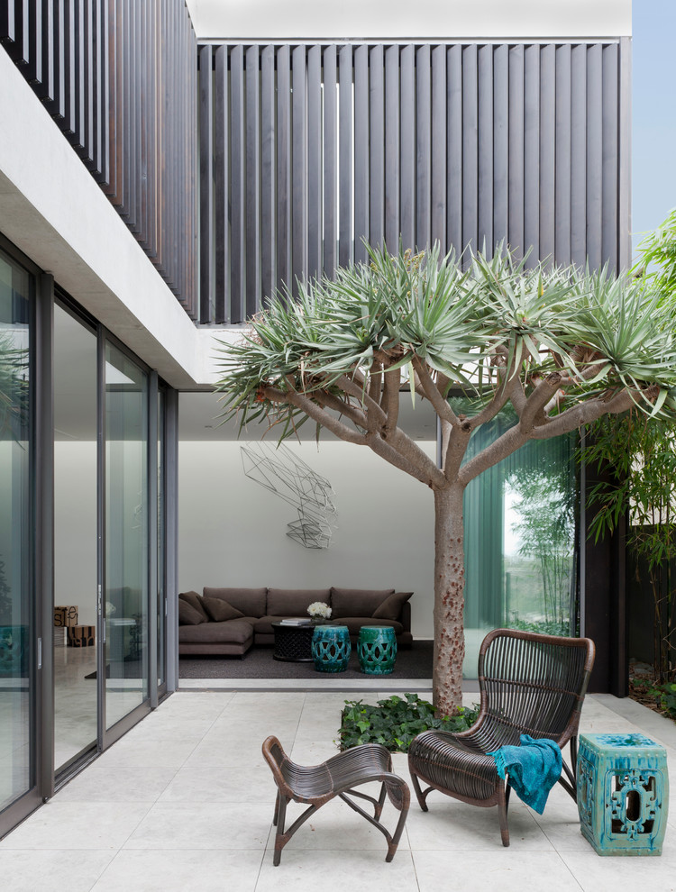 Patio - modern courtyard patio idea in Sydney with no cover