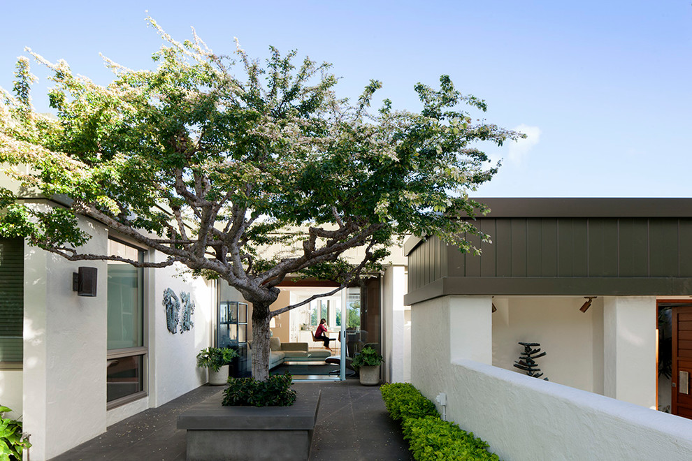 Photo of a modern courtyard patio in Hawaii.