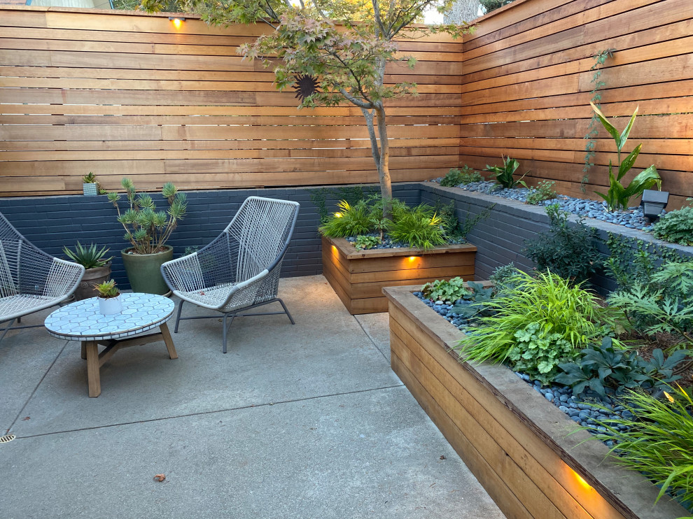Idee per un piccolo patio o portico minimalista davanti casa con lastre di cemento