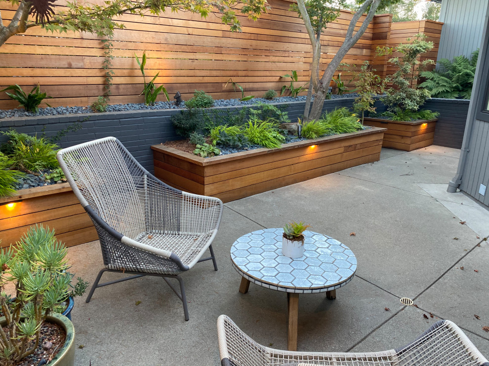 Cette image montre une petite terrasse avant minimaliste avec une dalle de béton.