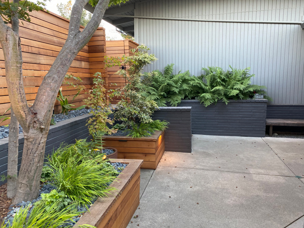 Diseño de patio minimalista pequeño en patio delantero con losas de hormigón