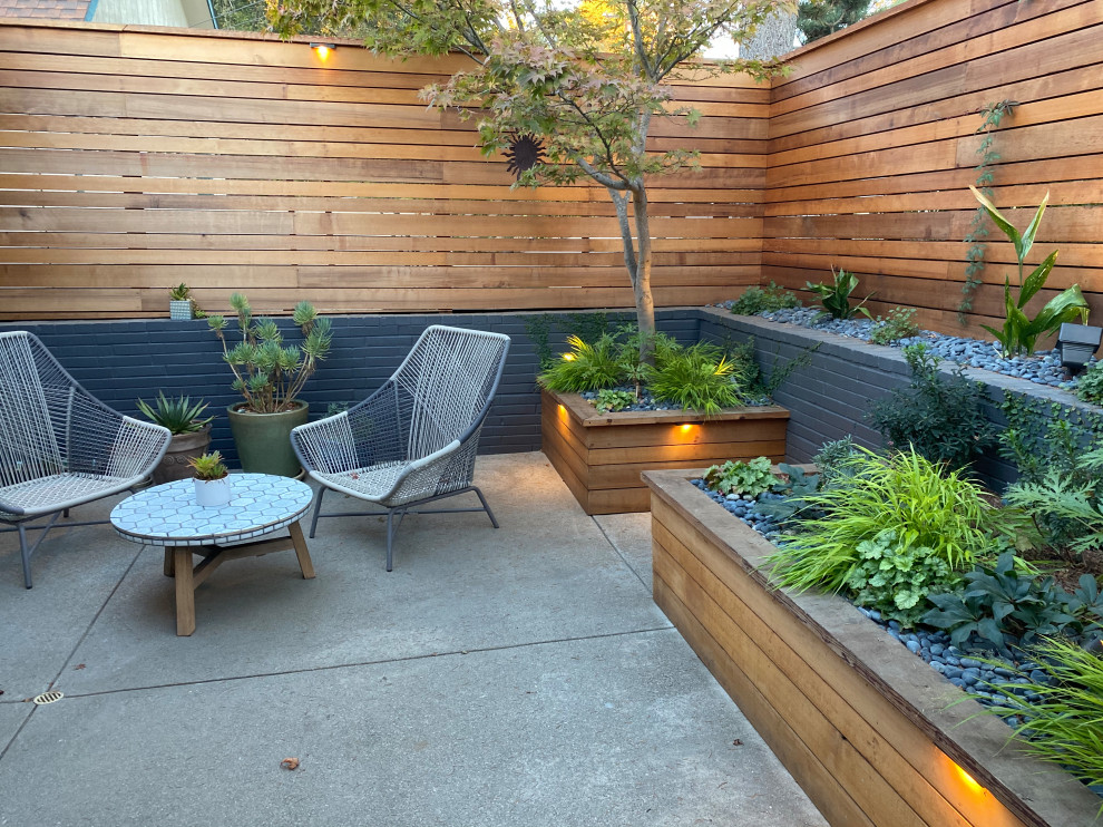 Foto di un piccolo patio o portico moderno davanti casa con lastre di cemento