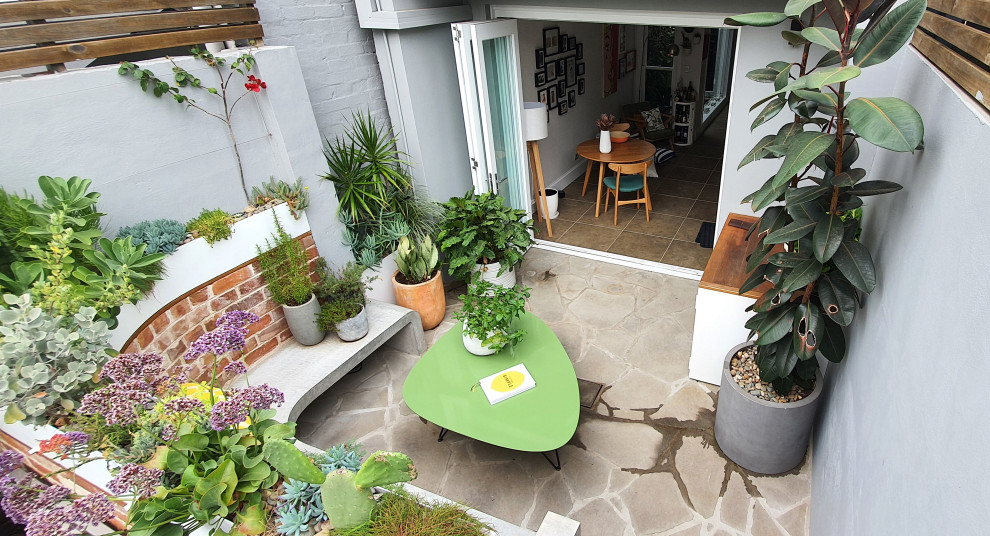 This is an example of a small midcentury courtyard patio in Sydney with natural stone paving and no cover.