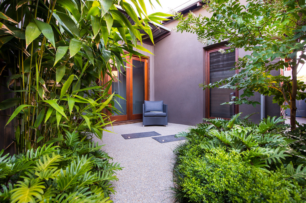 Cette photo montre une petite terrasse tendance avec une cour et une dalle de béton.