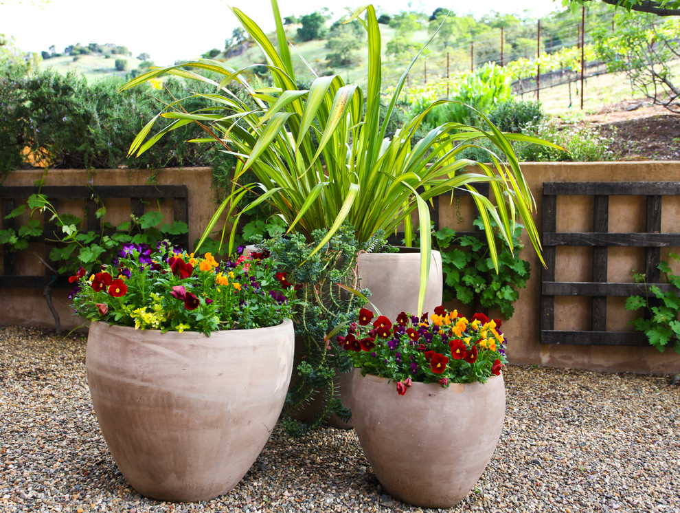 Пример оригинального дизайна: участок и сад на заднем дворе в средиземноморском стиле с растениями в контейнерах и покрытием из гранитной крошки