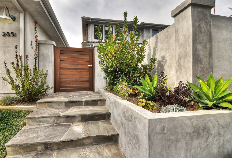 Cette image montre une terrasse avec des plantes en pots avant minimaliste de taille moyenne avec des pavés en pierre naturelle et aucune couverture.