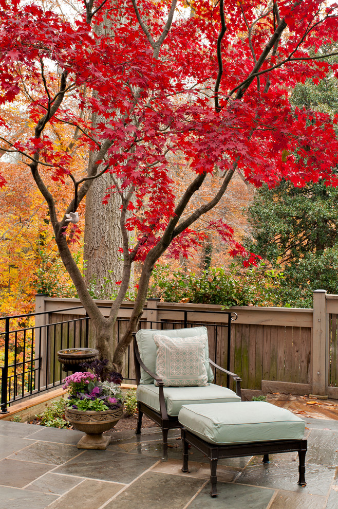 Design ideas for a medium sized traditional back patio in DC Metro with no cover and fencing.