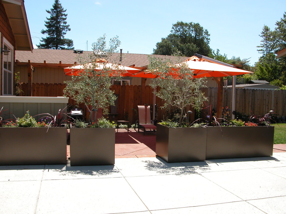 サンフランシスコにあるお手頃価格の小さなコンテンポラリースタイルのおしゃれな裏庭のテラス (日よけなし、コンテナガーデン、コンクリート板舗装	) の写真