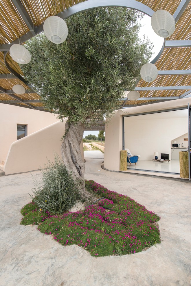 Foto di un grande patio o portico mediterraneo in cortile con un giardino in vaso