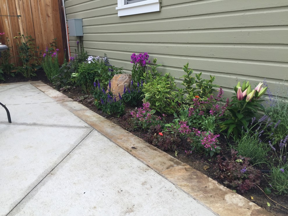 This is an example of a mid-sized traditional backyard landscaping in Denver.