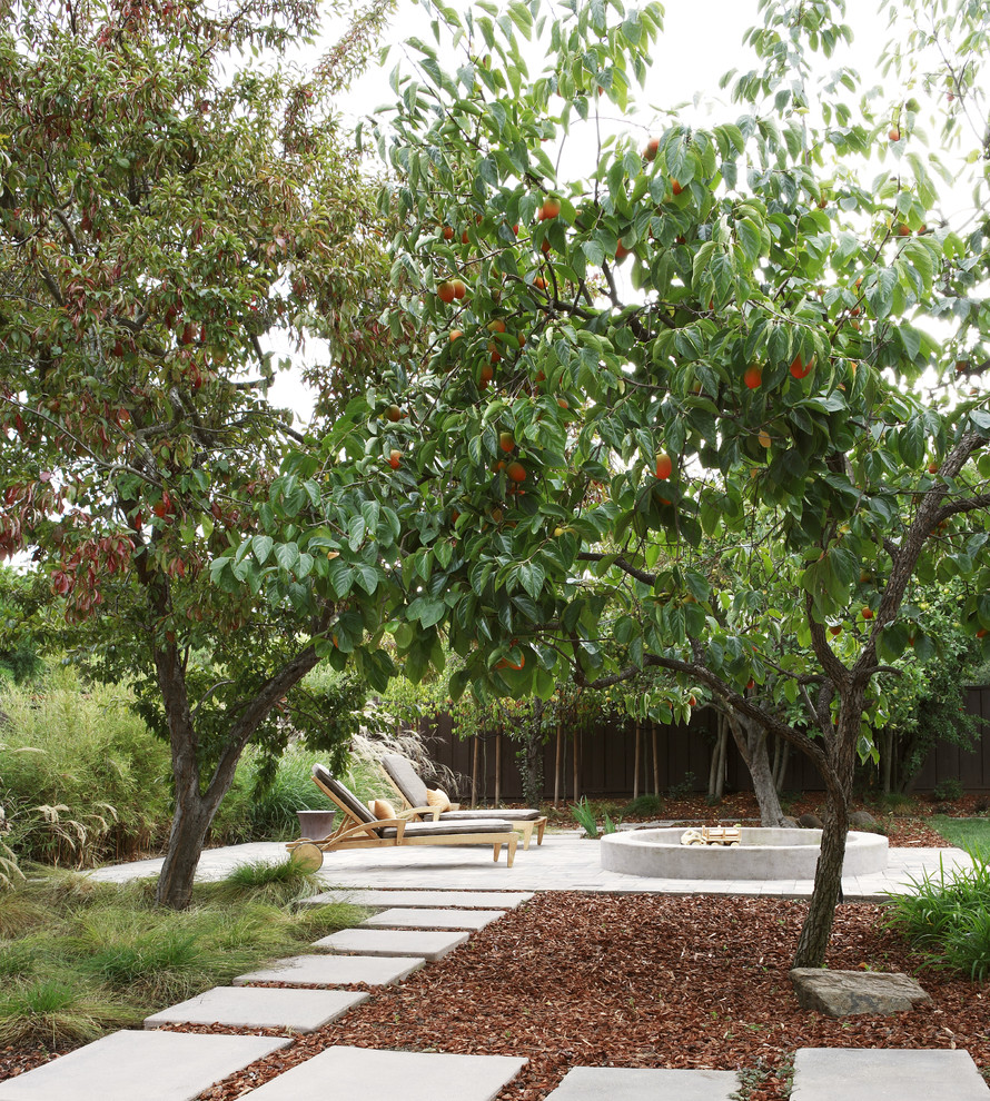 Example of a trendy patio design in San Francisco with no cover
