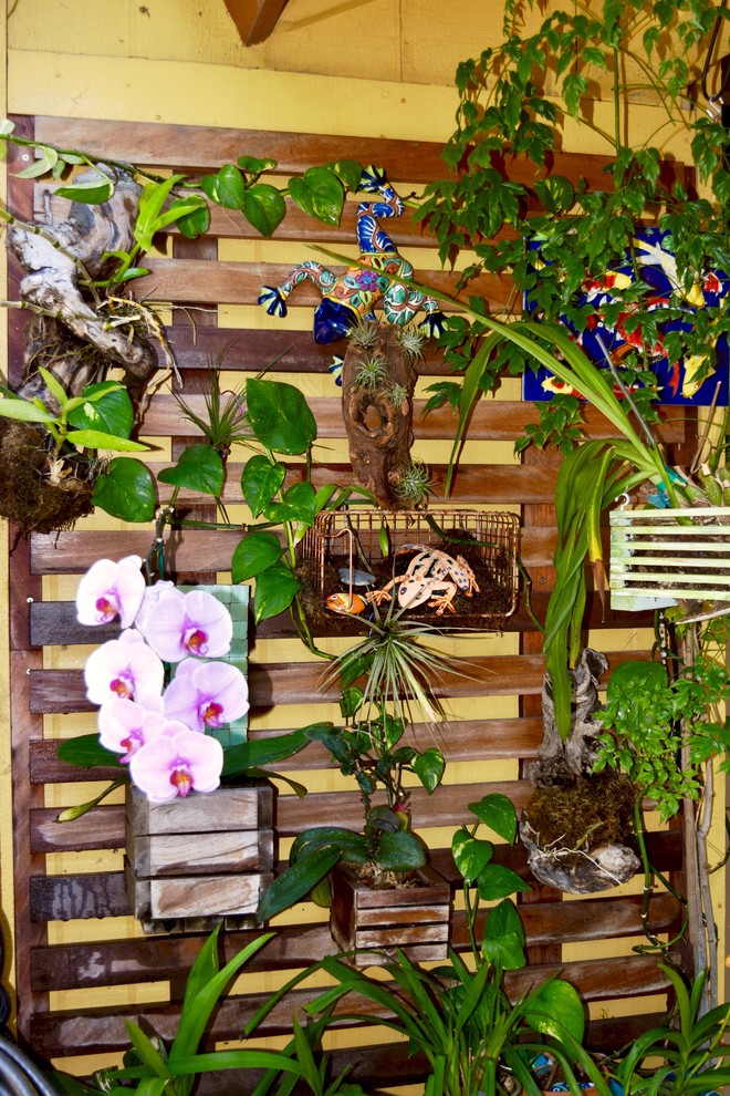 Modelo de patio tropical pequeño en patio y anexo de casas con jardín vertical y suelo de baldosas