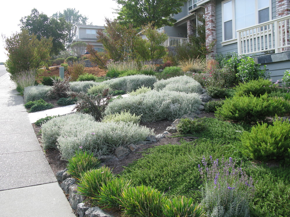 Inspiration for a small drought-tolerant front yard landscaping in San Francisco.