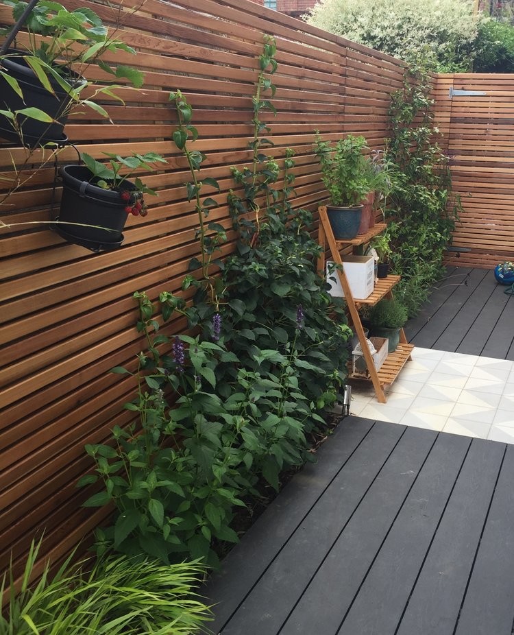 Example of a small trendy courtyard patio container garden design in London with decking and no cover