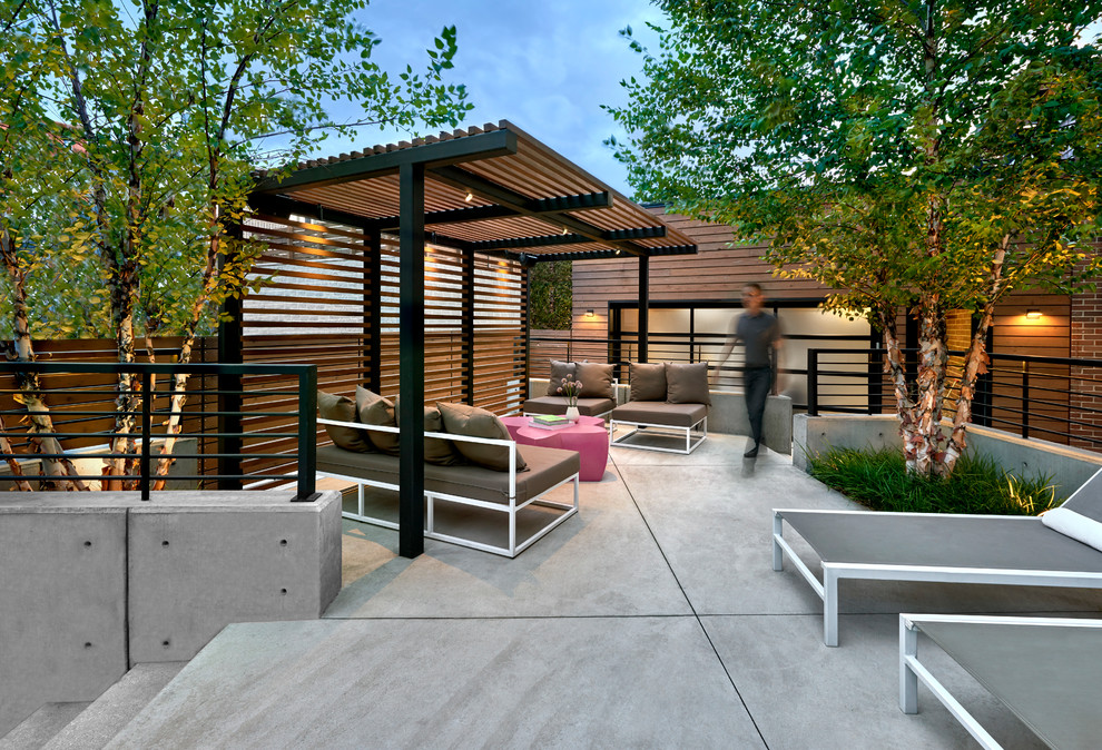 Ispirazione per un grande patio o portico design dietro casa con lastre di cemento e una pergola