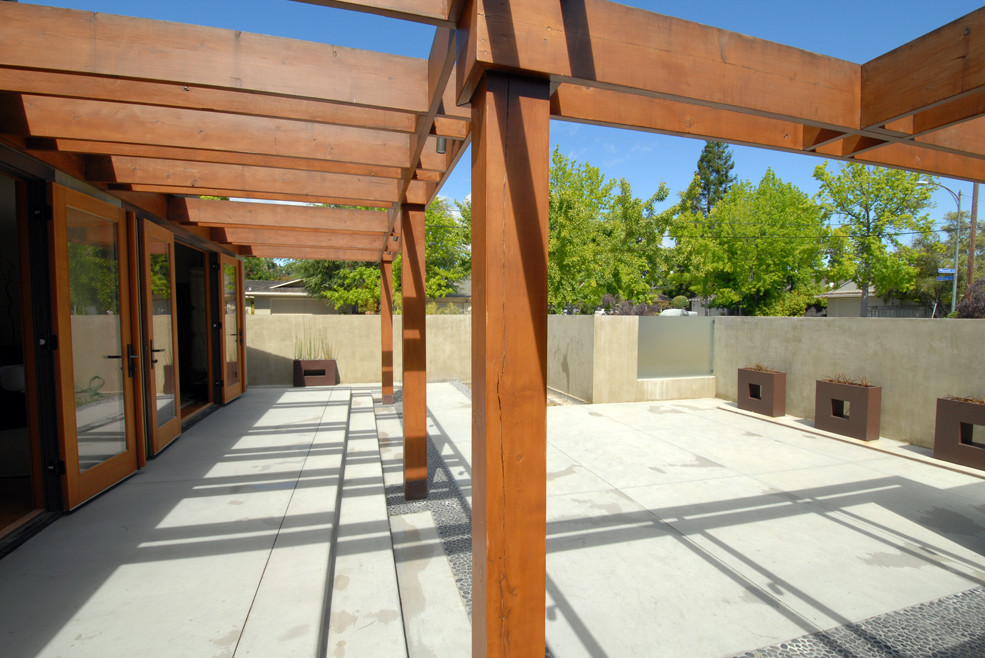 Foto di un patio o portico minimalista di medie dimensioni e dietro casa con un giardino in vaso, lastre di cemento e una pergola