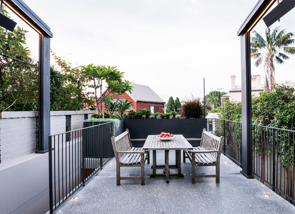 Esempio di un patio o portico minimal di medie dimensioni e dietro casa con un giardino in vaso, lastre di cemento e un parasole